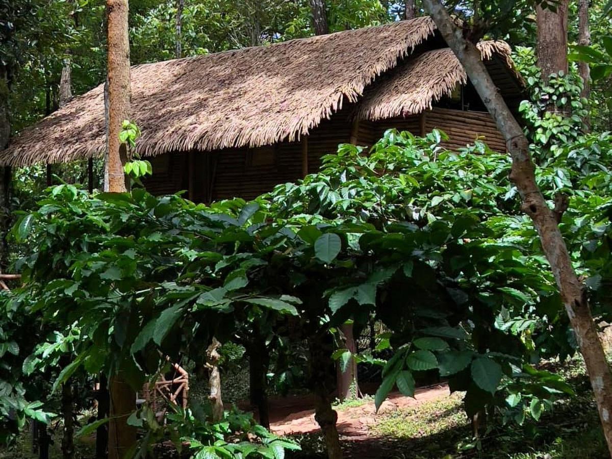 Adrak Mountain Mist Forest Resort Pulpally Exterior foto