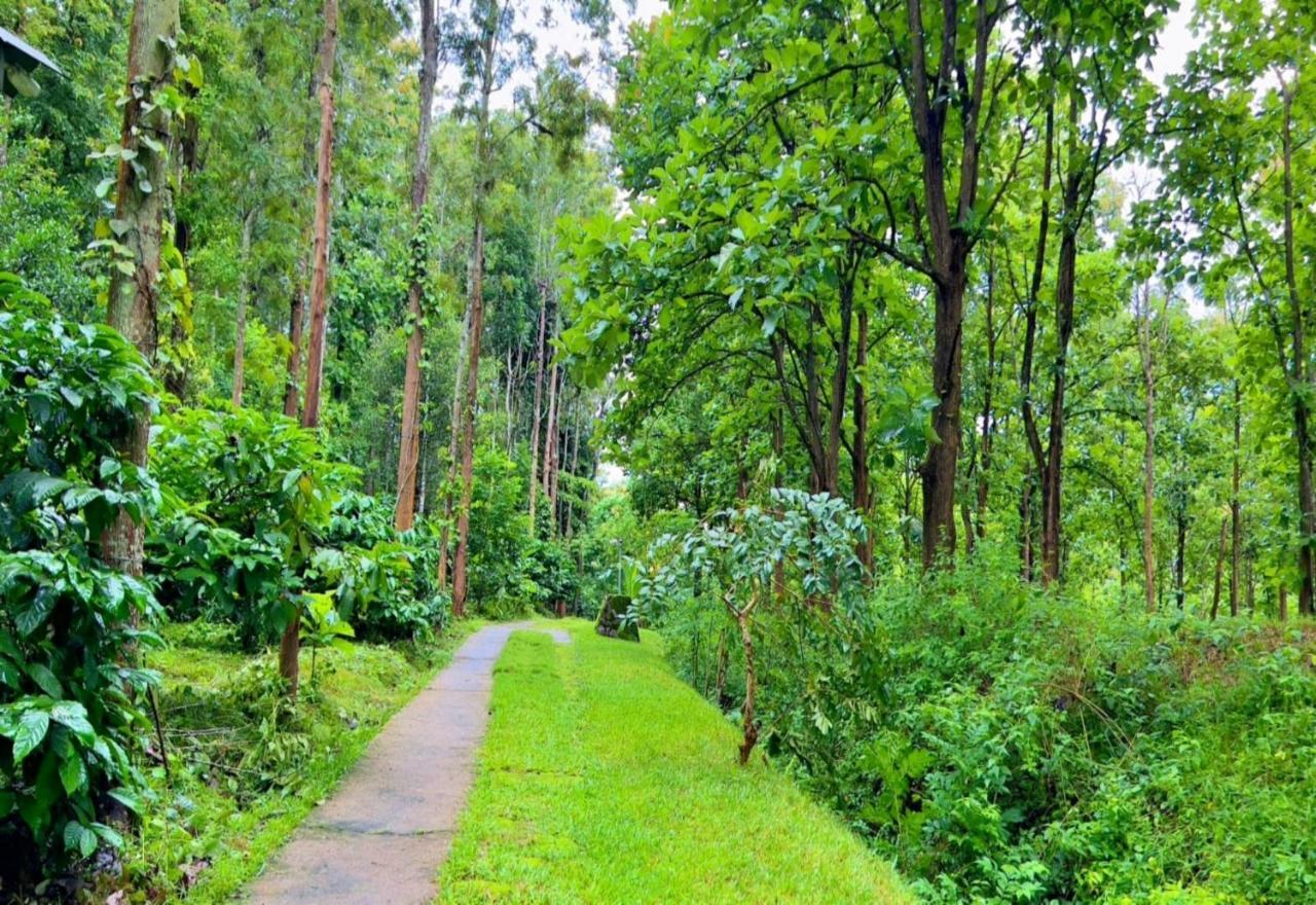 Adrak Mountain Mist Forest Resort Pulpally Exterior foto