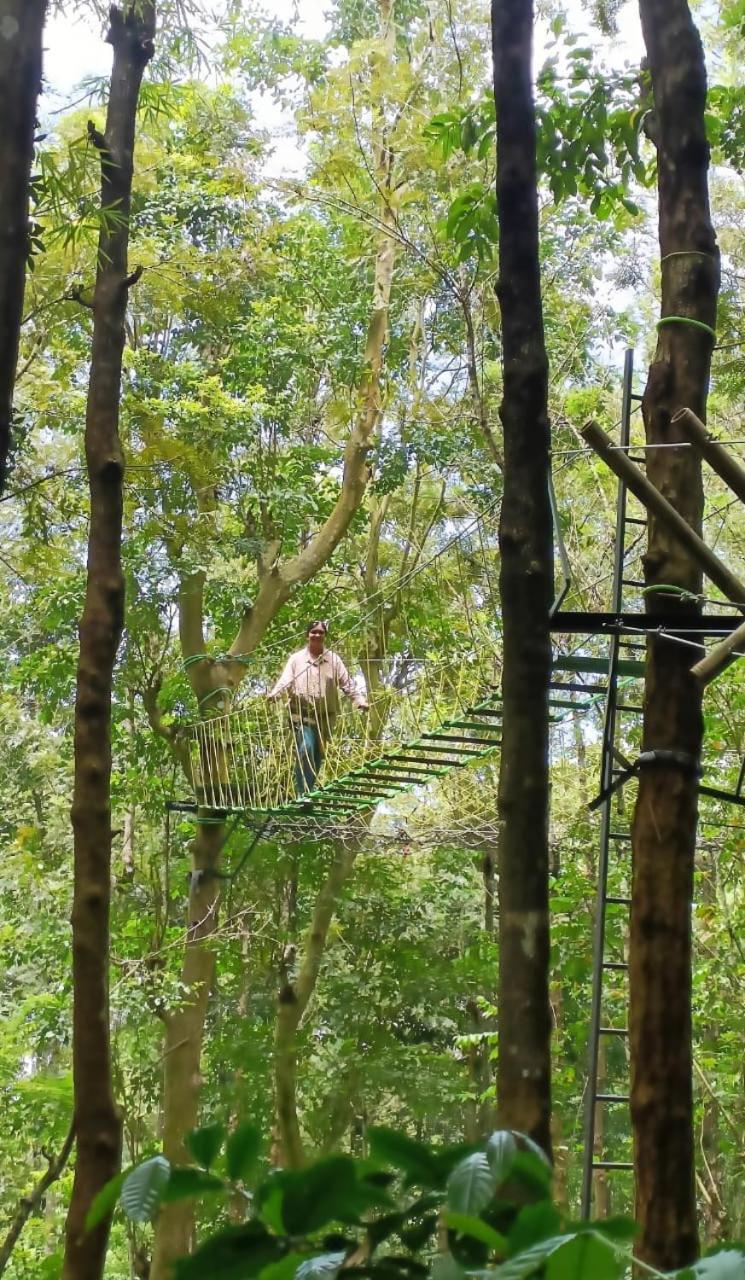 Adrak Mountain Mist Forest Resort Pulpally Exterior foto